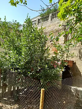 Kirayə verilir 2 otaqlı həyət evi 50 m² — Bakı, Səbail 2 otaq 50.00 m²