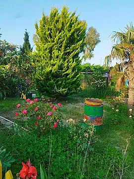 Satılır 11 otaqlı həyət evi 600 m² — Bakı, Maştağa 11 otaq 600.00 m²