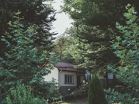 Kirayə verilir 1 otaqlı həyət evi 30 m² — Qusar 1 otaq 30.00 m²