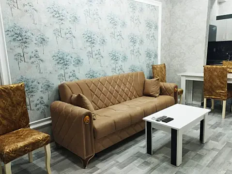 Kirayə verilir 2 otaqlı mənzil 60 m² — Bakı, Memar Əcəmi yanı 2 otaq 60.00 m²