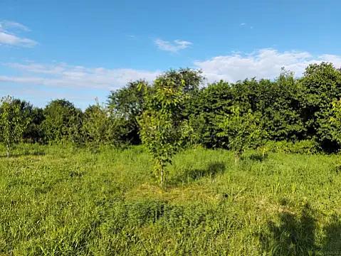 Satılır torpaq sahəsi 10 m² — Qusar 10.00 m²