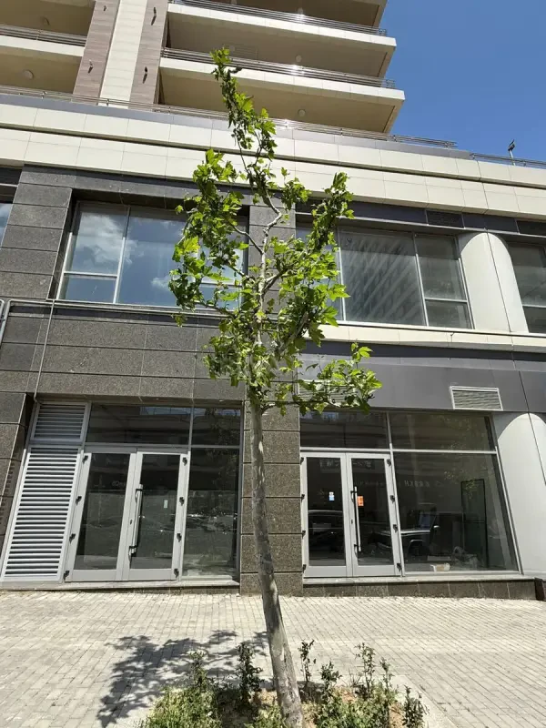 Kirayə verilir obyekt 520 m²