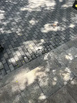 Kirayə verilir 3 otaqlı mənzil 55 m² — Bakı, Memar Əcəmi yanı 3 otaq 55.00 m²