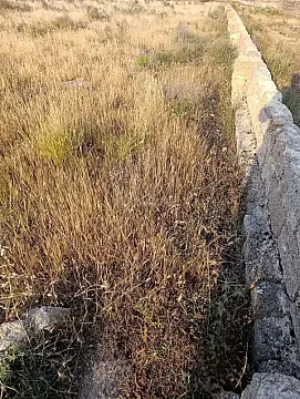 Satılır torpaq sahəsi 5 m² — Bakı, Türkan 5.00 m²