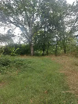 Satılır torpaq sahəsi 150 m² — Qəbələ 150.00 m²