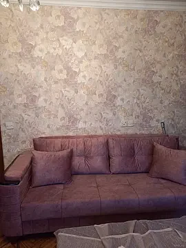 Kirayə verilir 2 otaqlı mənzil 50 m² — Bakı 2 otaq 50.00 m²