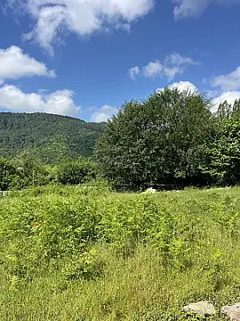 Satılır torpaq sahəsi 20 m² — İsmayıllı 20.00 m²