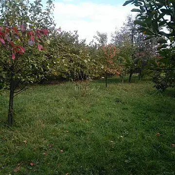 Satılır torpaq sahəsi 37 m² — Xaçmaz 37.00 m²