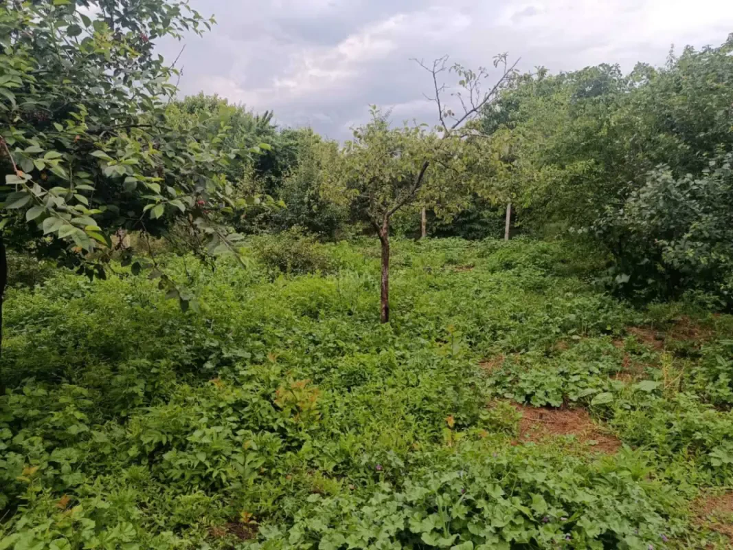 Satılır torpaq sahəsi 10 m²
