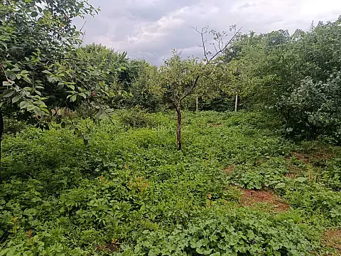 Satılır torpaq sahəsi 10 m² — Qusar 10.00 m²