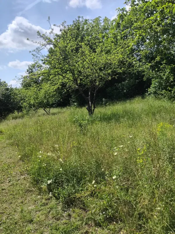 Satılır torpaq sahəsi 25 m²