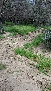 Satılır torpaq sahəsi 5 m² — Bakı 5.00 m²