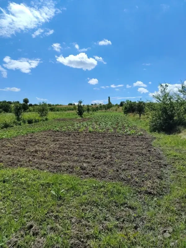 Satılır torpaq sahəsi 32 m²