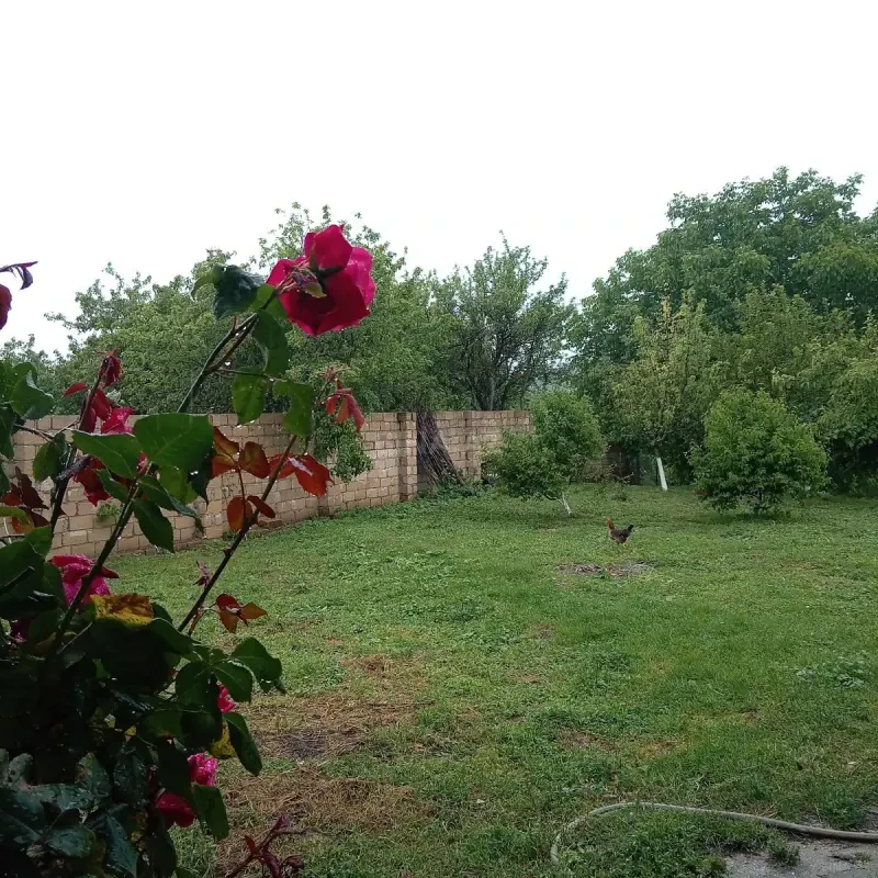 Satılır torpaq sahəsi 10 m²