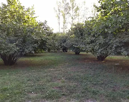 Satılır torpaq sahəsi 28 m² — Qəbələ 28.00 m²