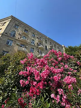 Satılır 2 otaqlı mənzil 50 m² — Bakı 2 otaq 50.00 m²