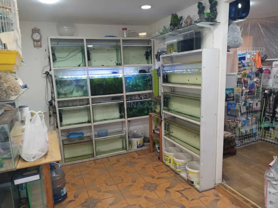 Kirayə verilir obyekt 65 m²