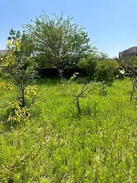 Satılır torpaq sahəsi 2 m² — Bakı, Novxanı 2.00 m²