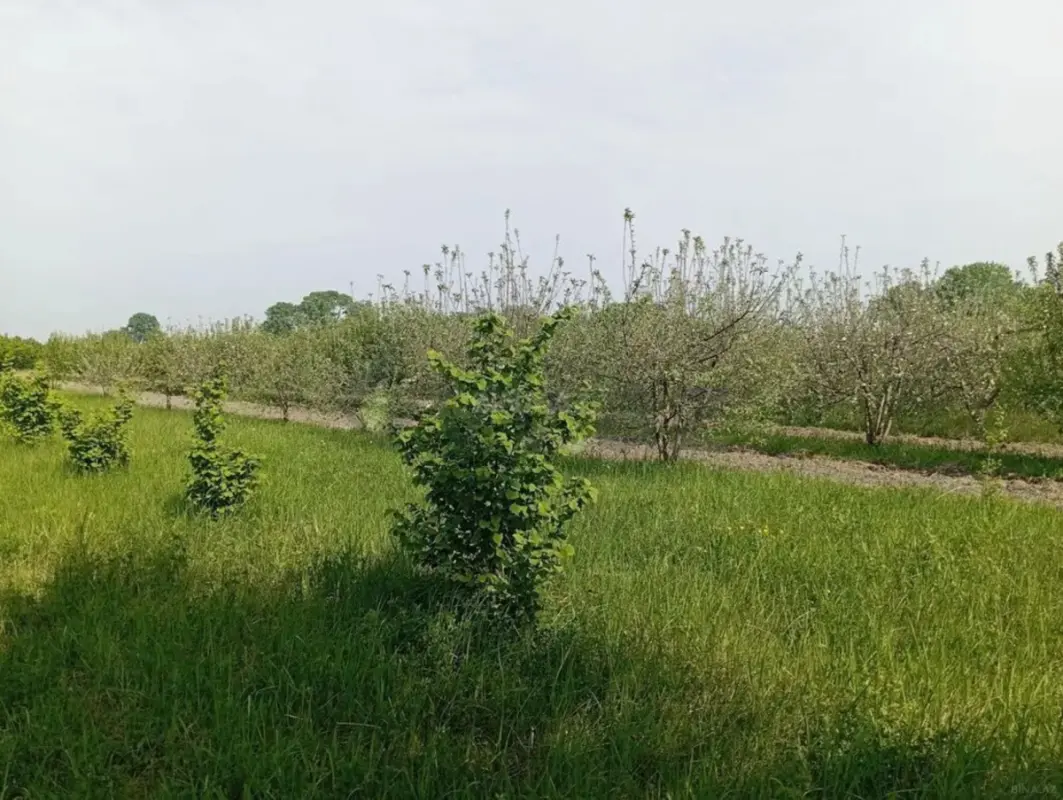 Satılır torpaq sahəsi 26 m²