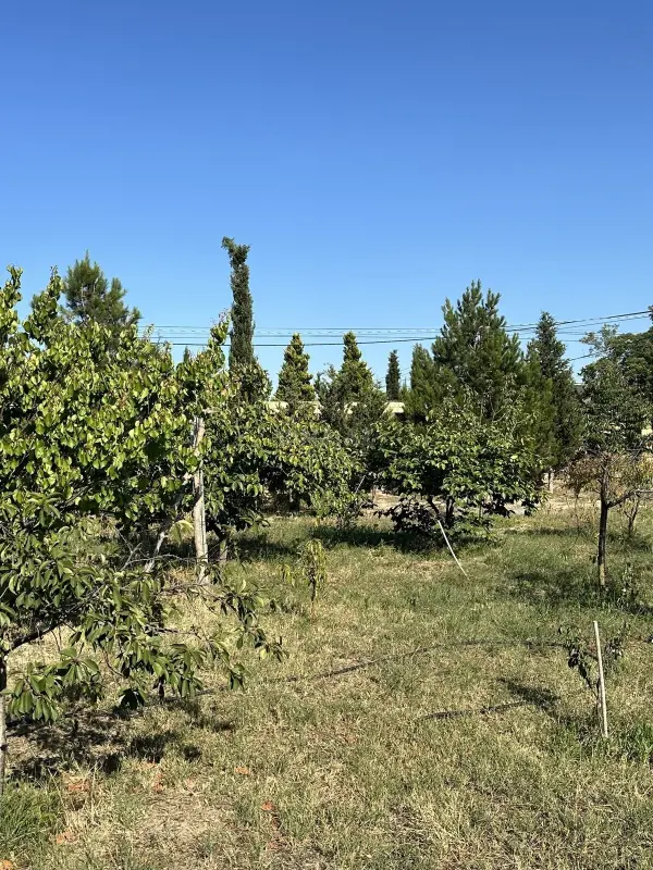 Satılır torpaq sahəsi 2 m²