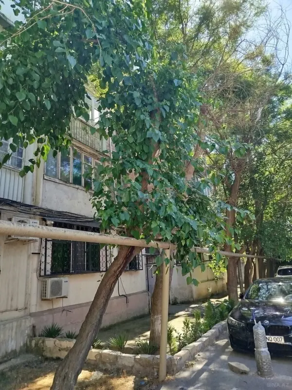 Kirayə verilir 3 otaqlı mənzil 65 m²