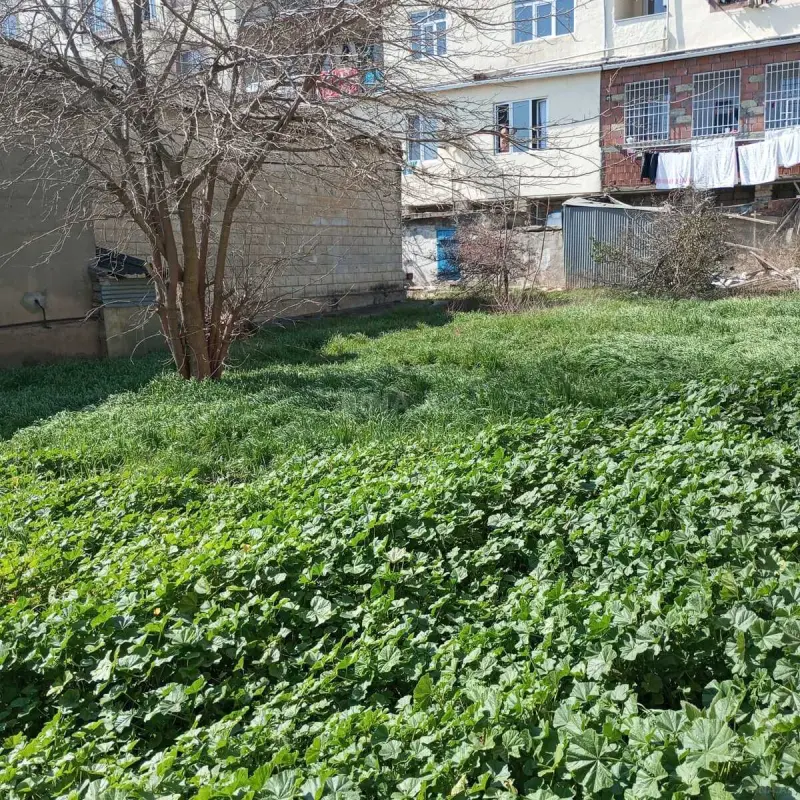 Satılır torpaq sahəsi 10 m²