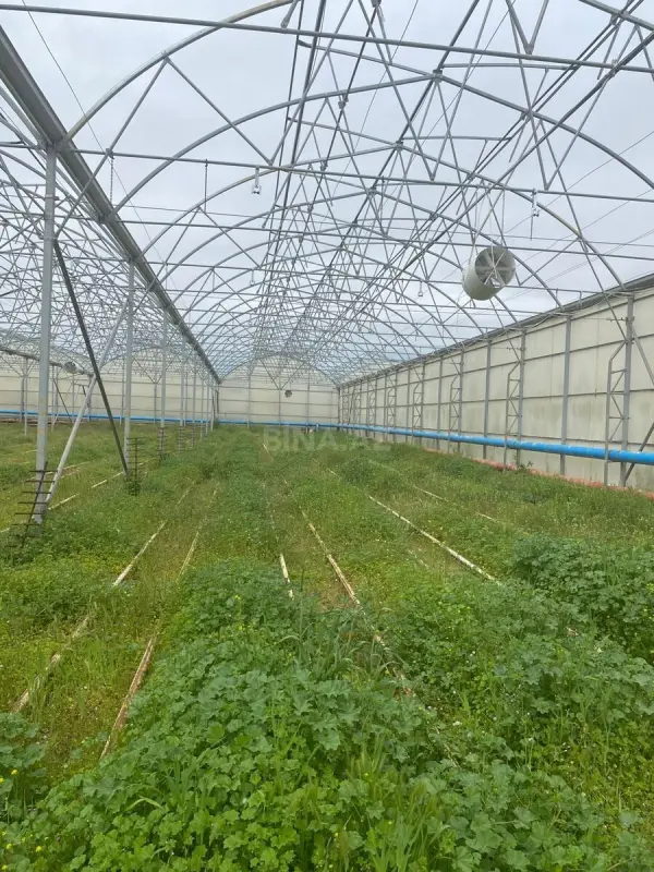Satılır obyekt 1500 m²