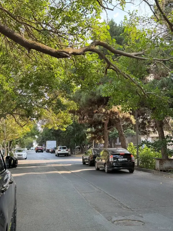 Satılır torpaq sahəsi 3.8 m²