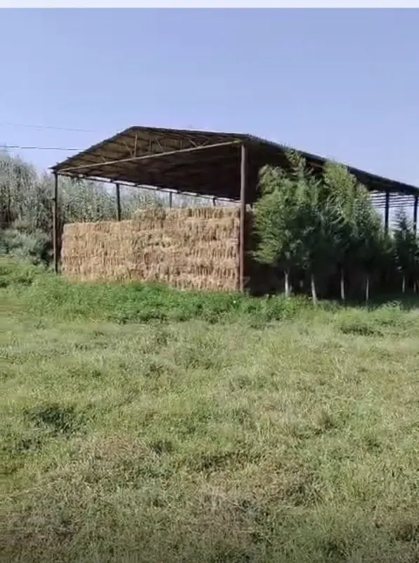 Satılır obyekt 1000 m²