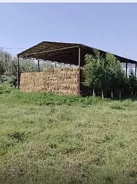Satılır obyekt 1000 m² — Salyan 1000.00 m²