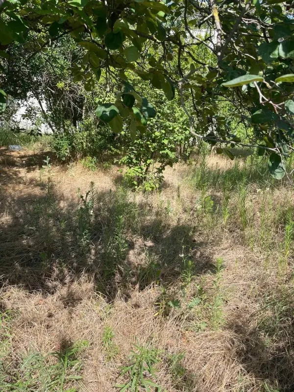Satılır torpaq sahəsi 12 m²