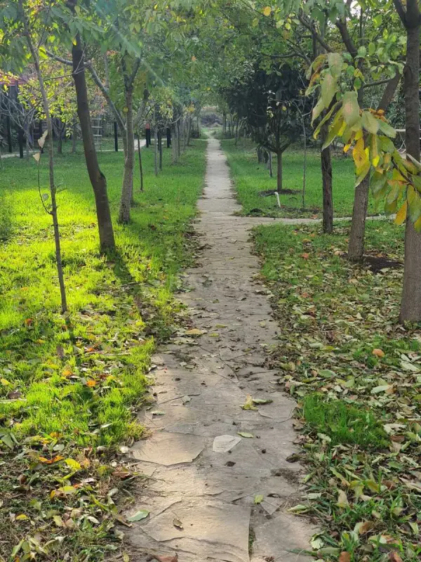 Satılır torpaq sahəsi 20 m²