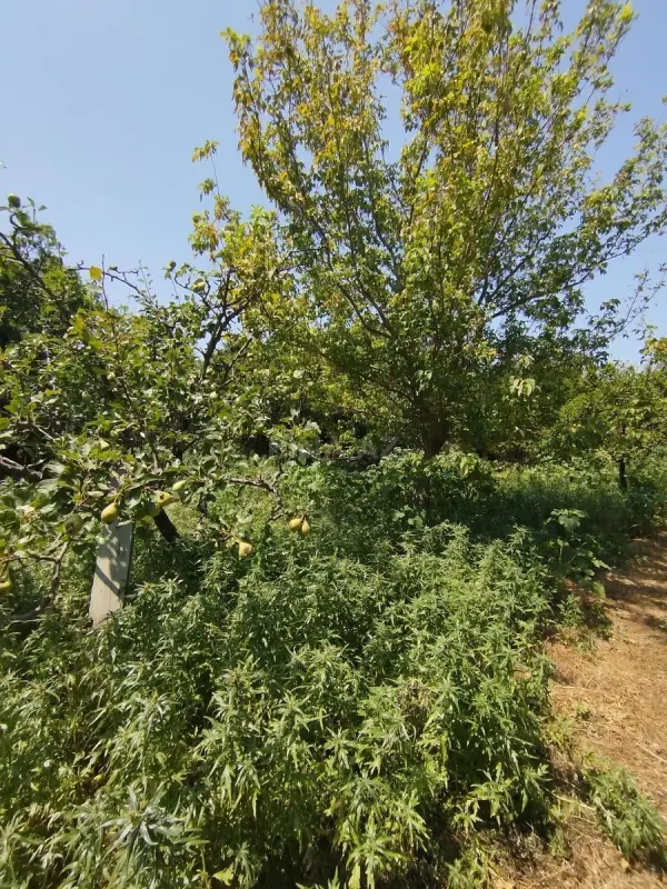 Satılır torpaq sahəsi 20 m²