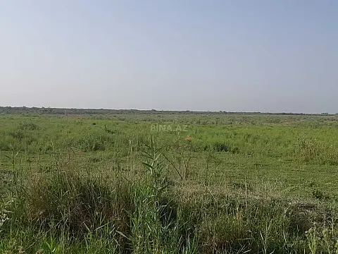 Satılır torpaq sahəsi 22663 m² — Ağsu 22663.00 m²