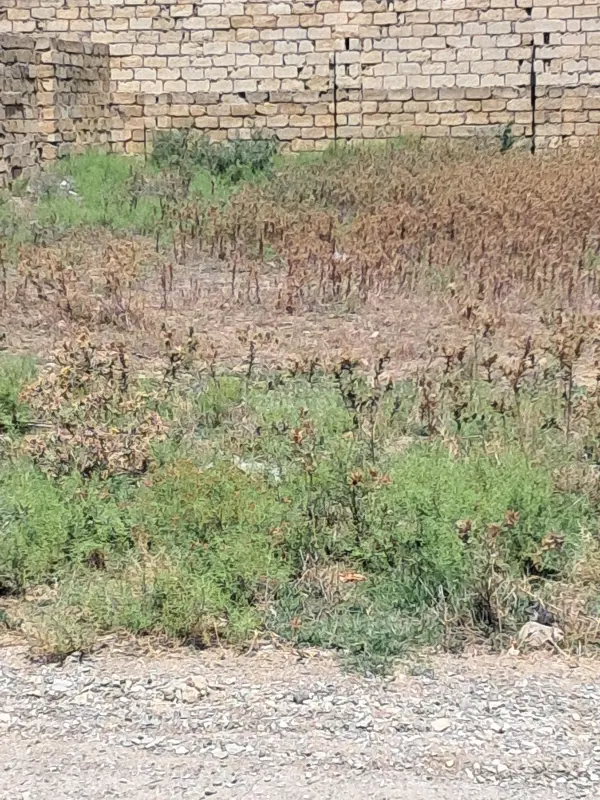 Satılır torpaq sahəsi 5 m²