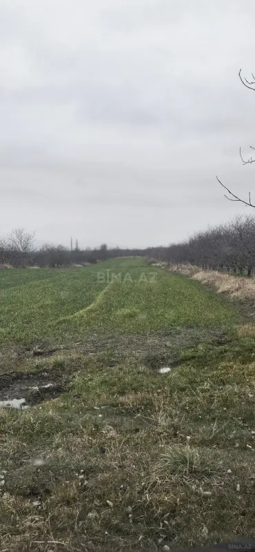 Satılır torpaq sahəsi 114 m²
