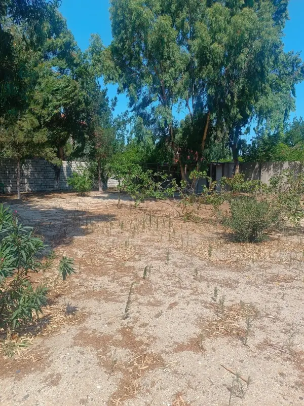 Satılır torpaq sahəsi 6 m²