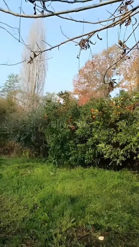 Satılır torpaq sahəsi 14 m²