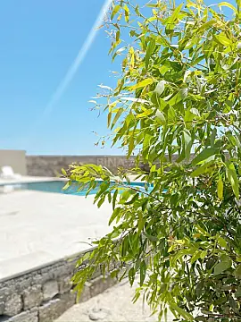 Kirayə verilir 3 otaqlı həyət evi 250 m² — Bakı, Türkan 3 otaq 250.00 m²