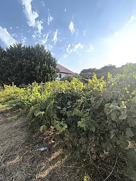 Satılır torpaq sahəsi 3 m² — Bakı, Novxanı 3.00 m²