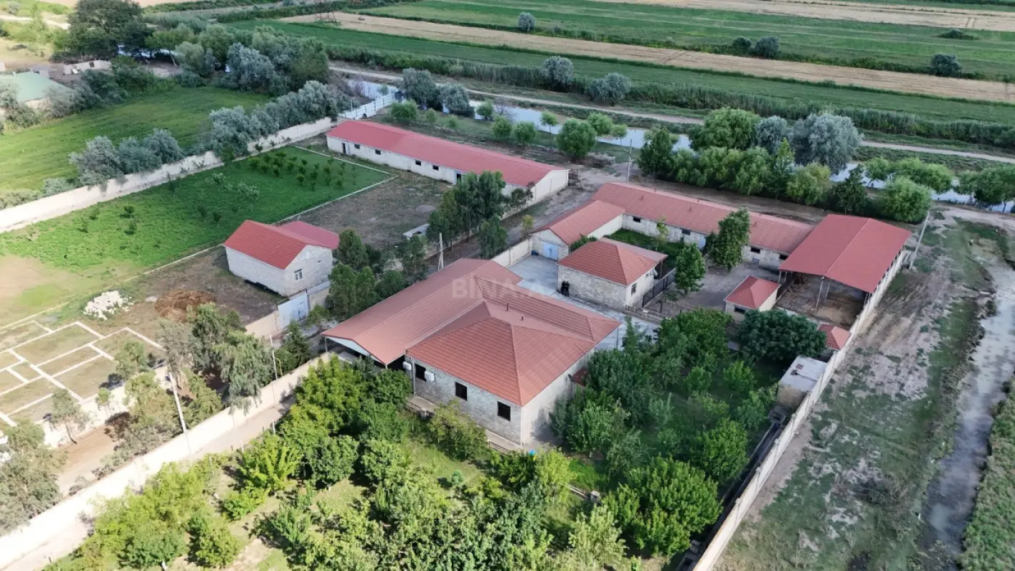 Satılır obyekt 10000 m²