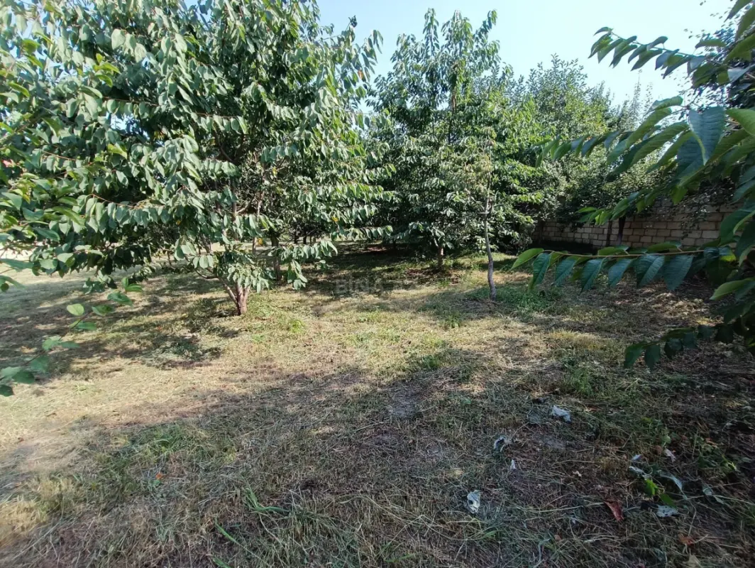 Satılır torpaq sahəsi 5 m²