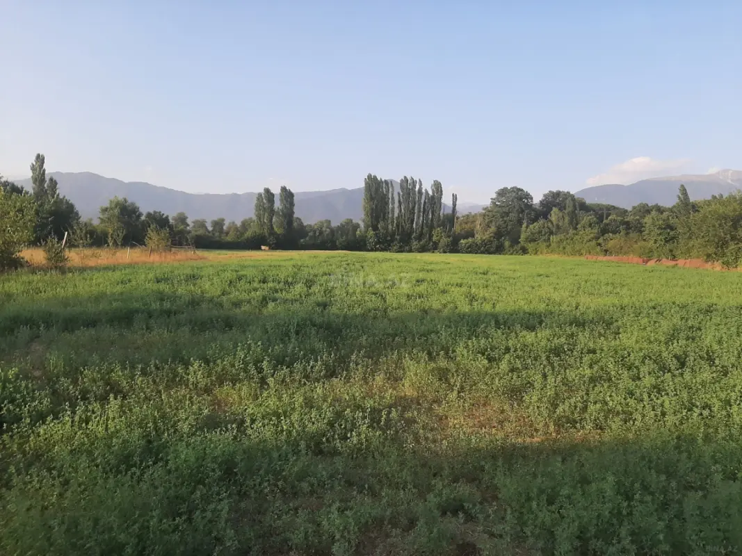 Satılır torpaq sahəsi 155 m²