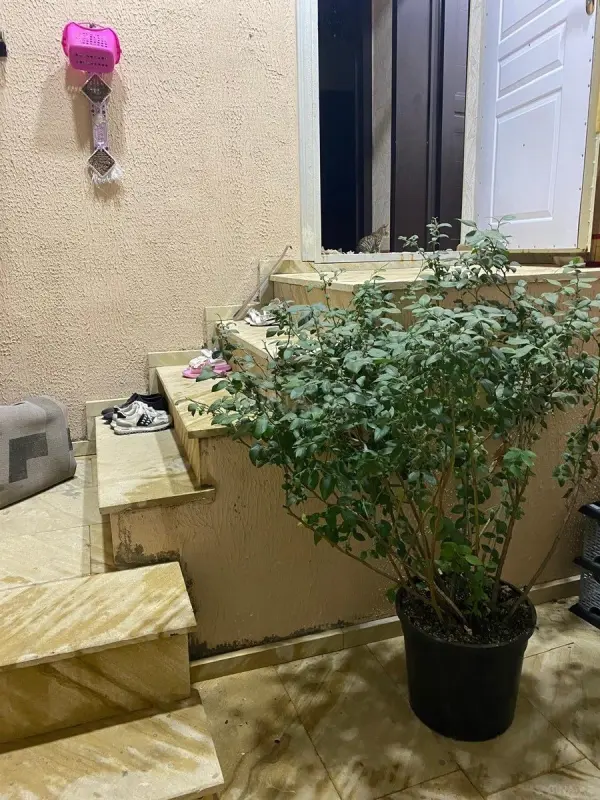 Satılır 3 otaqlı həyət evi 90 m²