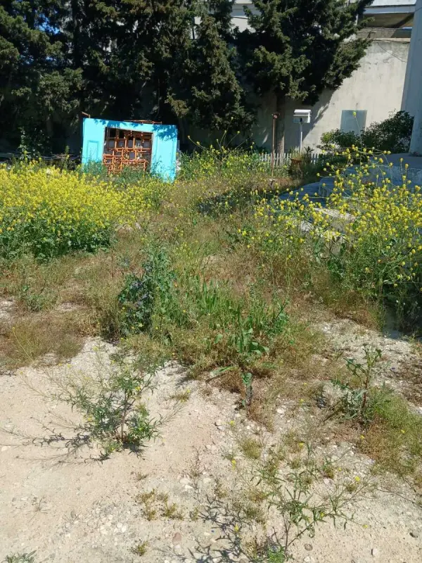 Satılır torpaq sahəsi 9 m²