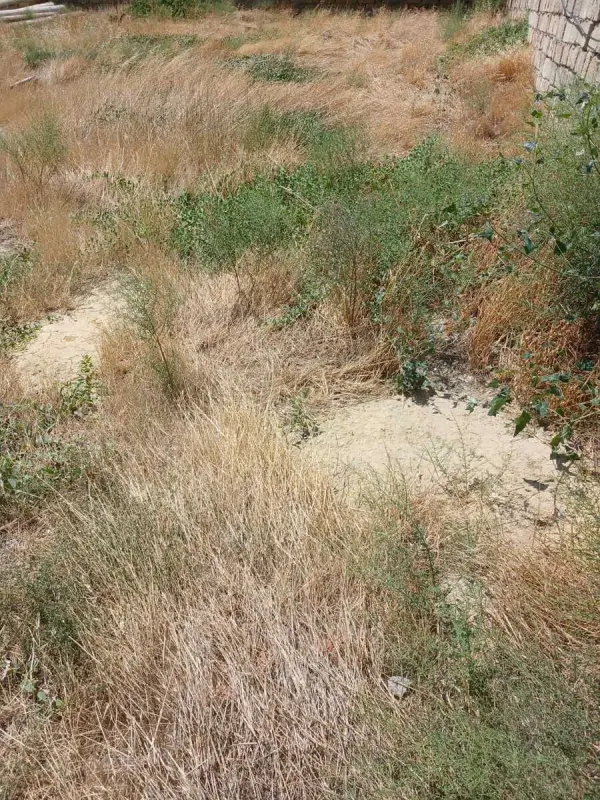 Satılır torpaq sahəsi 6 m²