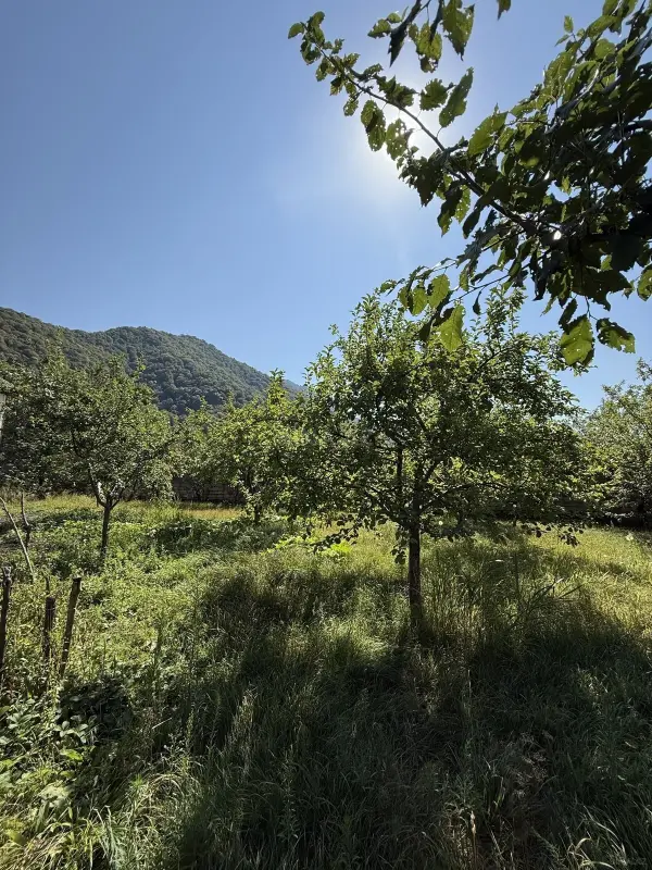 Satılır torpaq sahəsi 3 m²