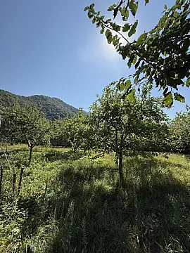 Satılır torpaq sahəsi 3 m² — İsmayıllı 3.00 m²