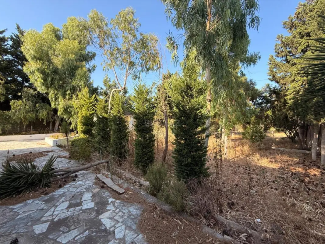 Satılır torpaq sahəsi 19 m²
