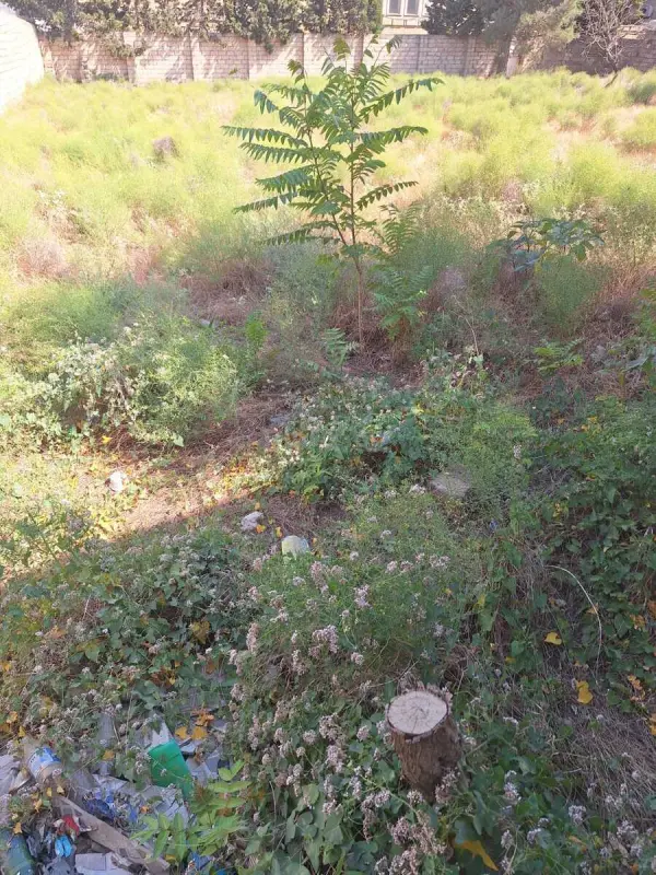 Satılır torpaq sahəsi 6 m²